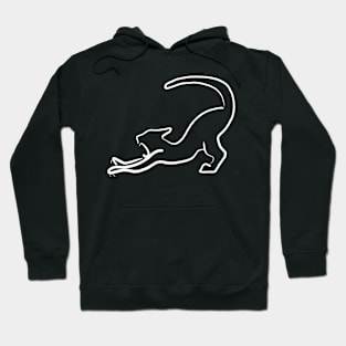 Cat Yoga Hoodie